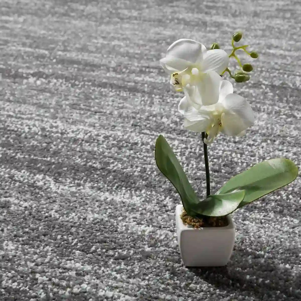 Détails Tapis de Couloir Avana