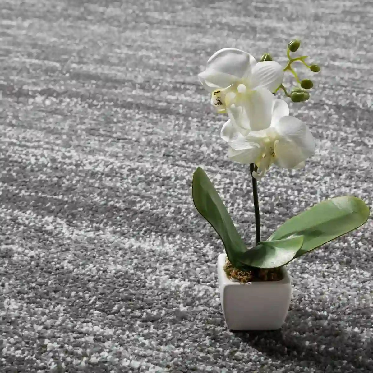 Détails Tapis Uni Luby