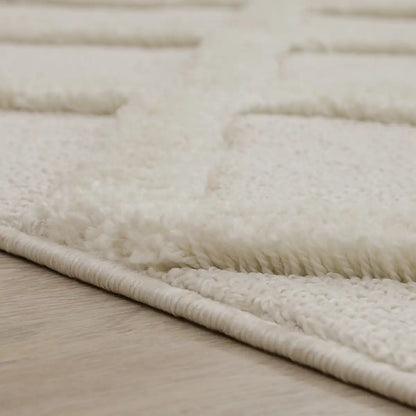 Bordure Tapis Berbère Losata